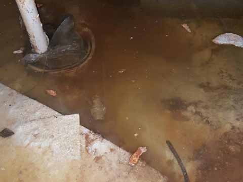 Frequently Asked Questions About Blocked Drains